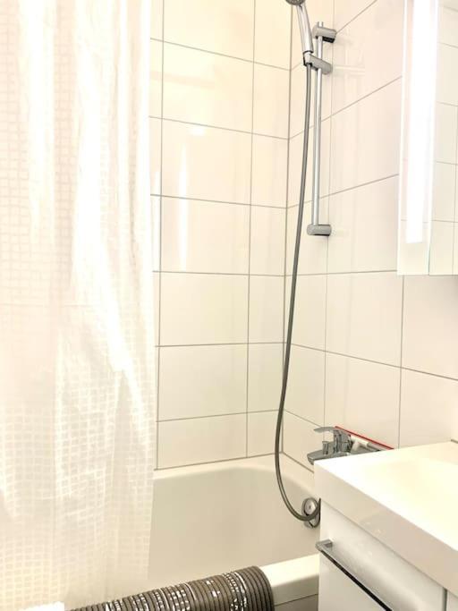 Little Penthouse **** Apartment Dietikon Exterior photo