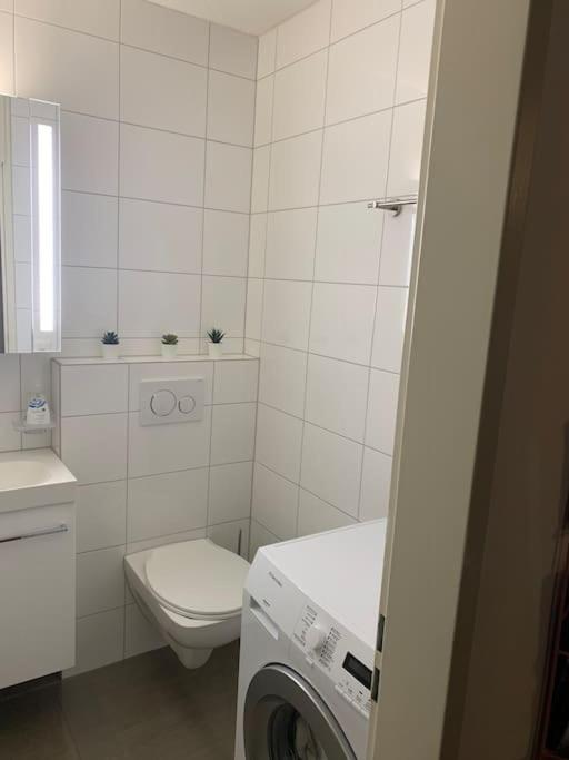 Little Penthouse **** Apartment Dietikon Exterior photo